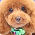 初投稿です(^^♪