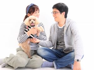 名古屋でペット写真撮影をお値打ち価格にて撮影しています。